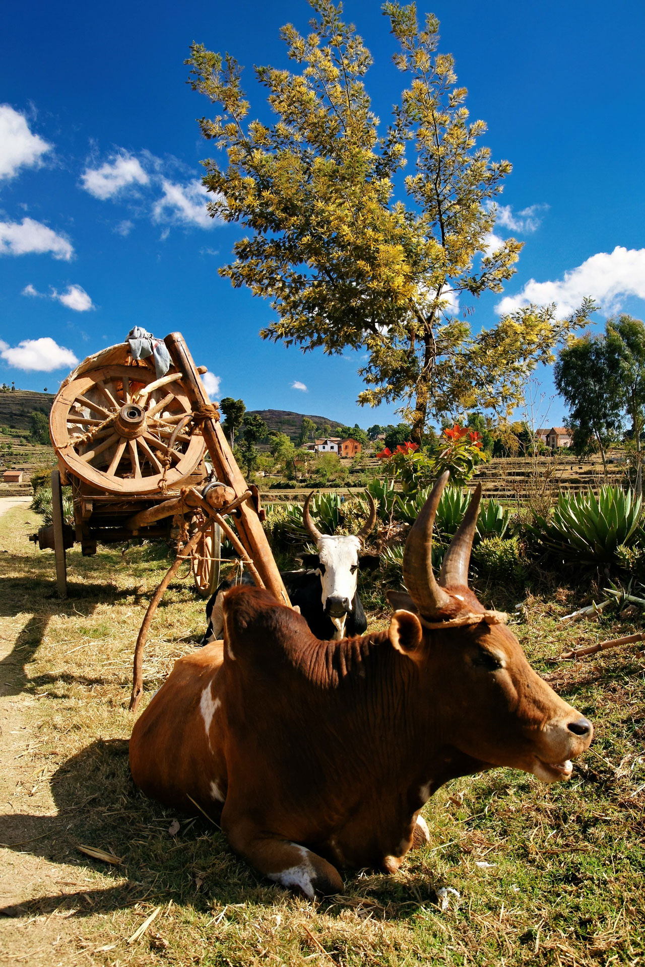 Wanderung vom Lac Tritriva zum Lac Andraikiba